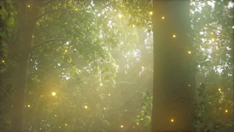 enchanted forest with fireflies