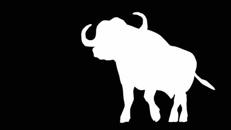 a buffalo walking on black background with alpha channel included at the end of the video, 3d animation, perspective view, animated animals, seamless loop animation