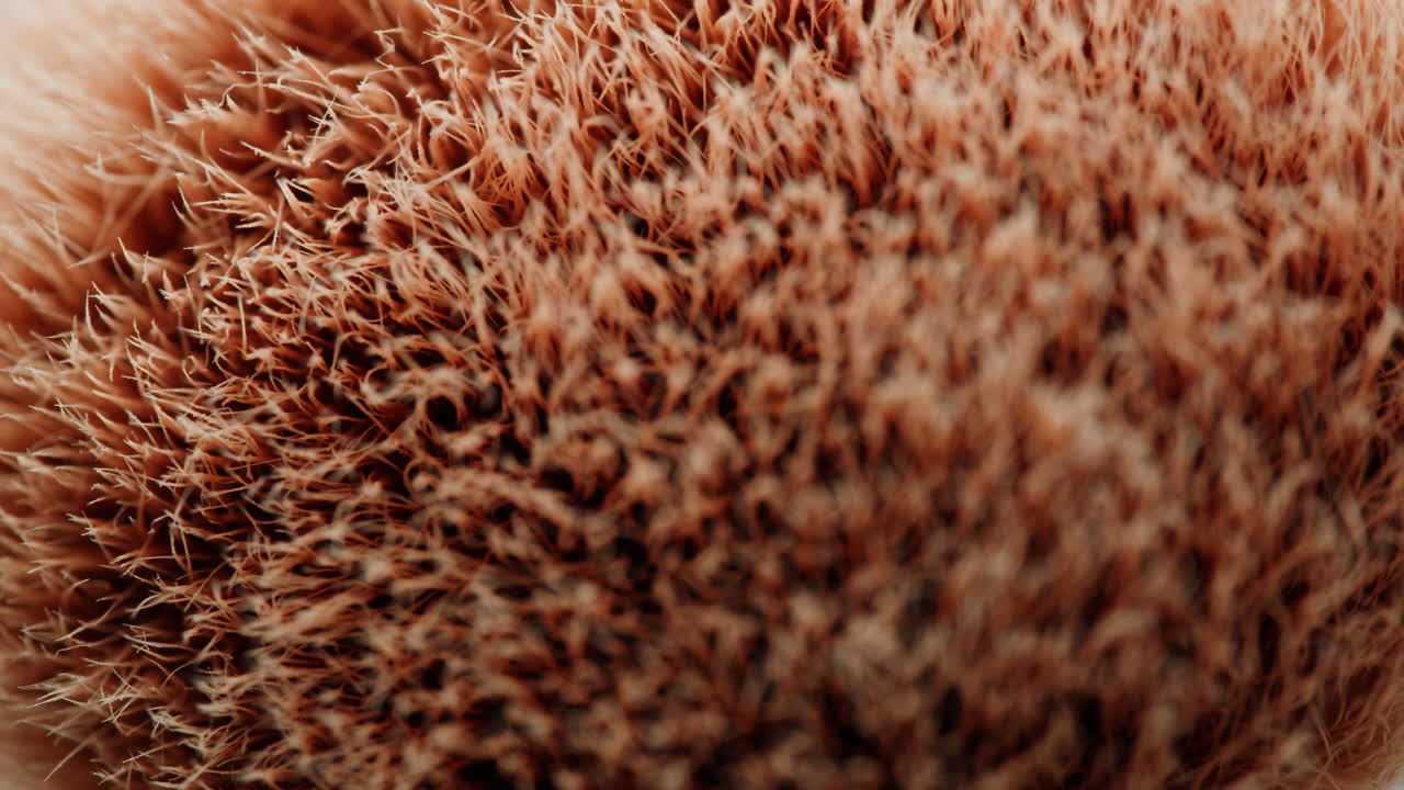 Close-up of Makeup Brush Bristles
