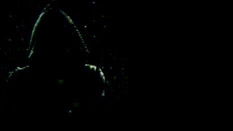 Silhouette of a green hacker
