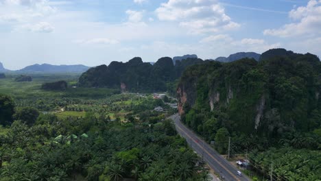 Tropische-Landschaft-Karst-Berge-Straße-Palmen