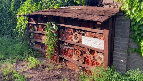 Insect-hotel,-measures-to-maintain-biodiversity