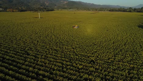 Betreten-Der-Traubenreben-Des-Napa-Tals,-Um-Dem-Rebentrimmertraktor-Des-Weinbergs-Zu-Folgen