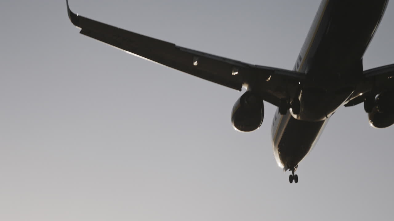 하늘 에 있는 비행기