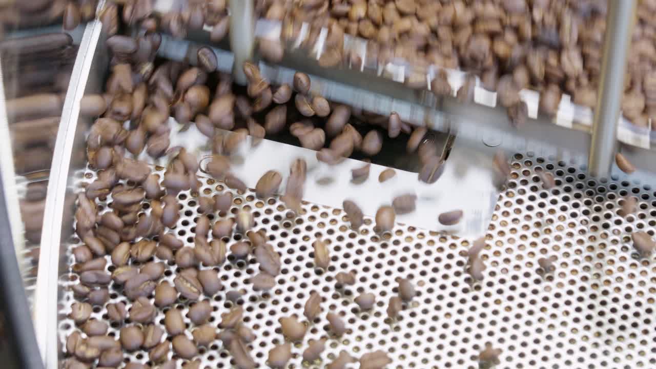 Watch as green coffee beans transform into rich brown beans during the roasting process.
