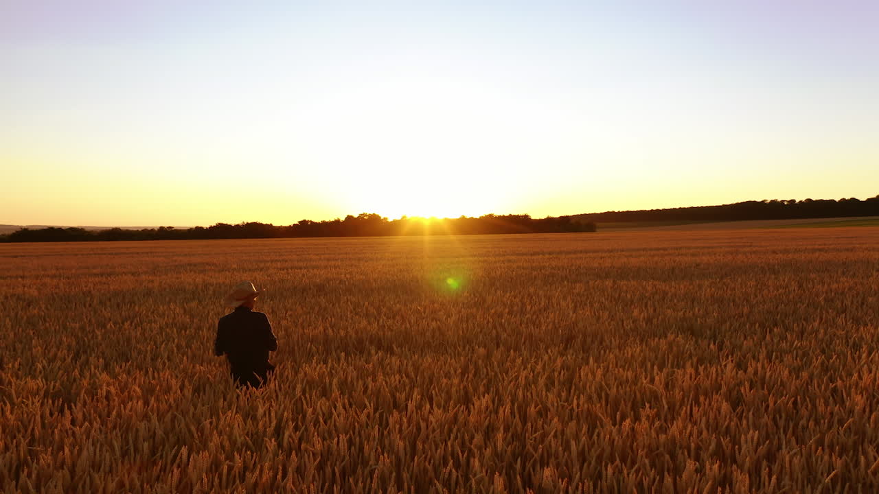 Farmer on field in the countryside at sunset. Male agronomist inspecting ripe agricultural land and writing the results into folder. Camera moves around.