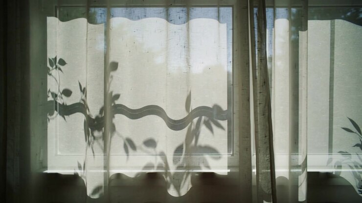 Shifting sunlight casting plant shadow on sheer curtain at window, drifting revealing plant pot