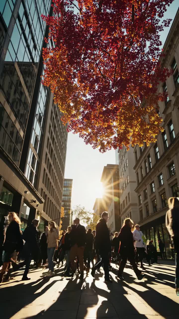 Dynamic street scene video with a low-angle view, capturing people walking under vibrant autumn