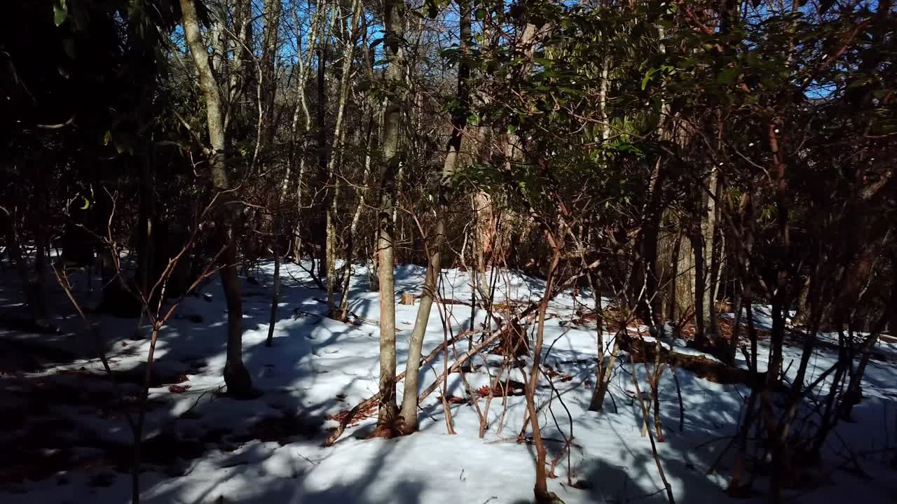 búsqueda y rescate en invierno, caza humana