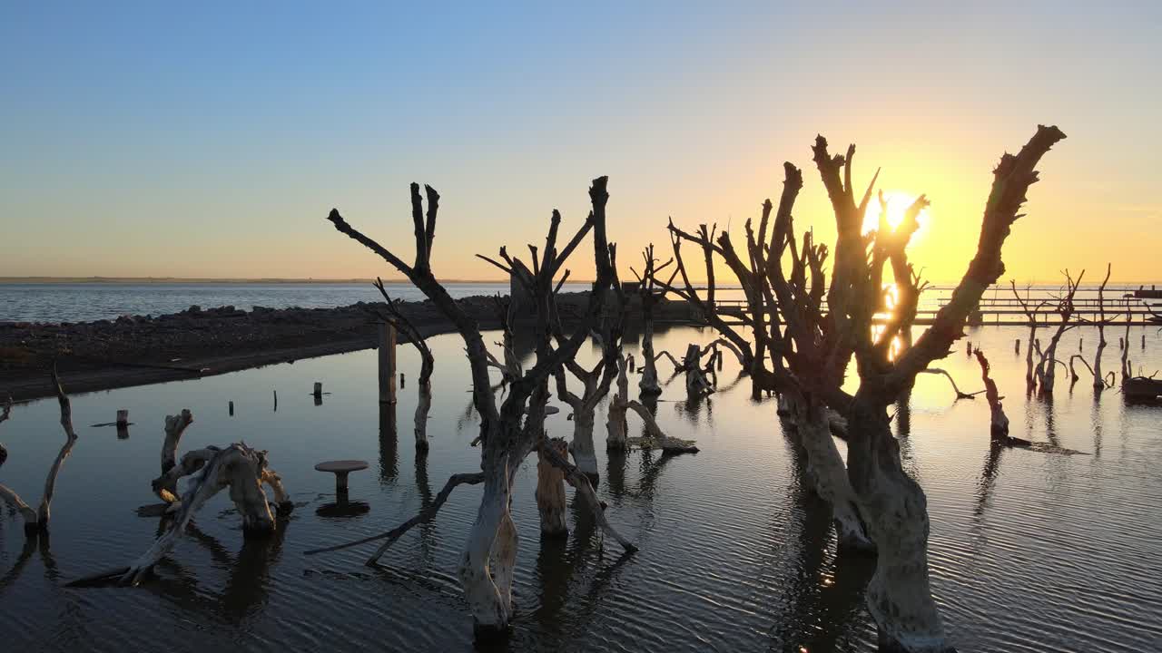 골든 아워 햇빛은 죽은 나무들 사이로 빛난다 에페큐엔 침수된 역사적인 마을