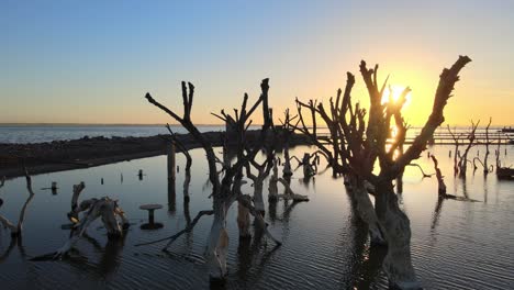 Goldene-Stunde-Sonnenlicht-Scheint-Durch-Tote-Bäume-Epecuen-überflutete-Historische-Stadt