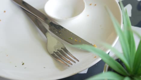 empty plate with utensils and plant