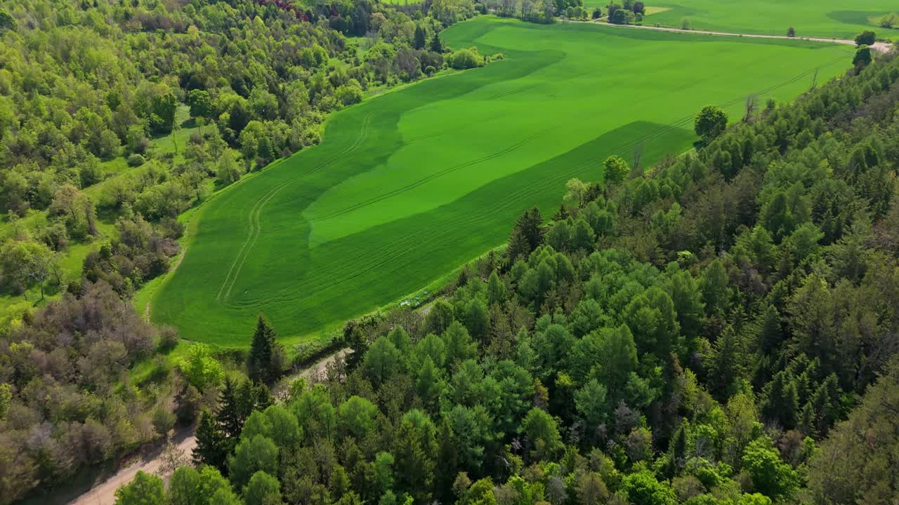 Agricultural farm field divided into neat green plots, aerial dolly