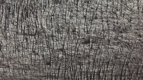 aerial top view over the textured ice surface of a glacier in iceland, resembling skin