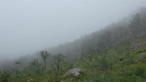 Camper-Sitting-Next-To-A-Car-With-Rooftop-Tent-Looking-On-The-View-Of-Misty-Forest