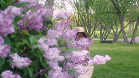 dama etíope en vestido de verano y sombrero se detiene para oler flores de lila rosa