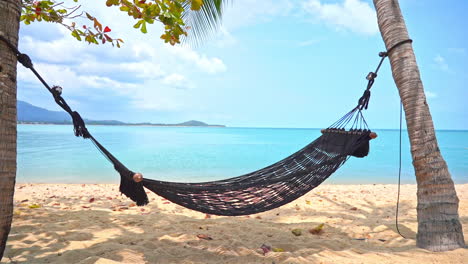 empty cotton rope hammock hanging between palm trees at dream island in caribbean