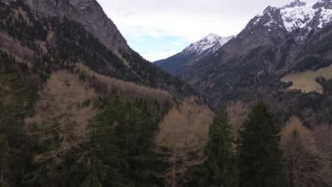 El-Dron-Se-Eleva-Sobre-El-Bosque-De-Pinos-Y-Revela-Un-Paisaje-Montañoso-Cubierto-De-Nieve.