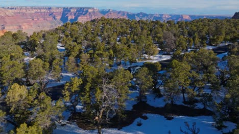 guidando sulla strada che attraversa la foresta innevata vicino al parco nazionale del grand canyon in arizona, stati uniti