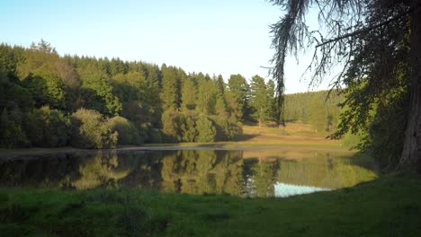 Hiker-passing-by-and-looking-at-a-Peaceful-Lake-in-the-Summer-Evening-Light