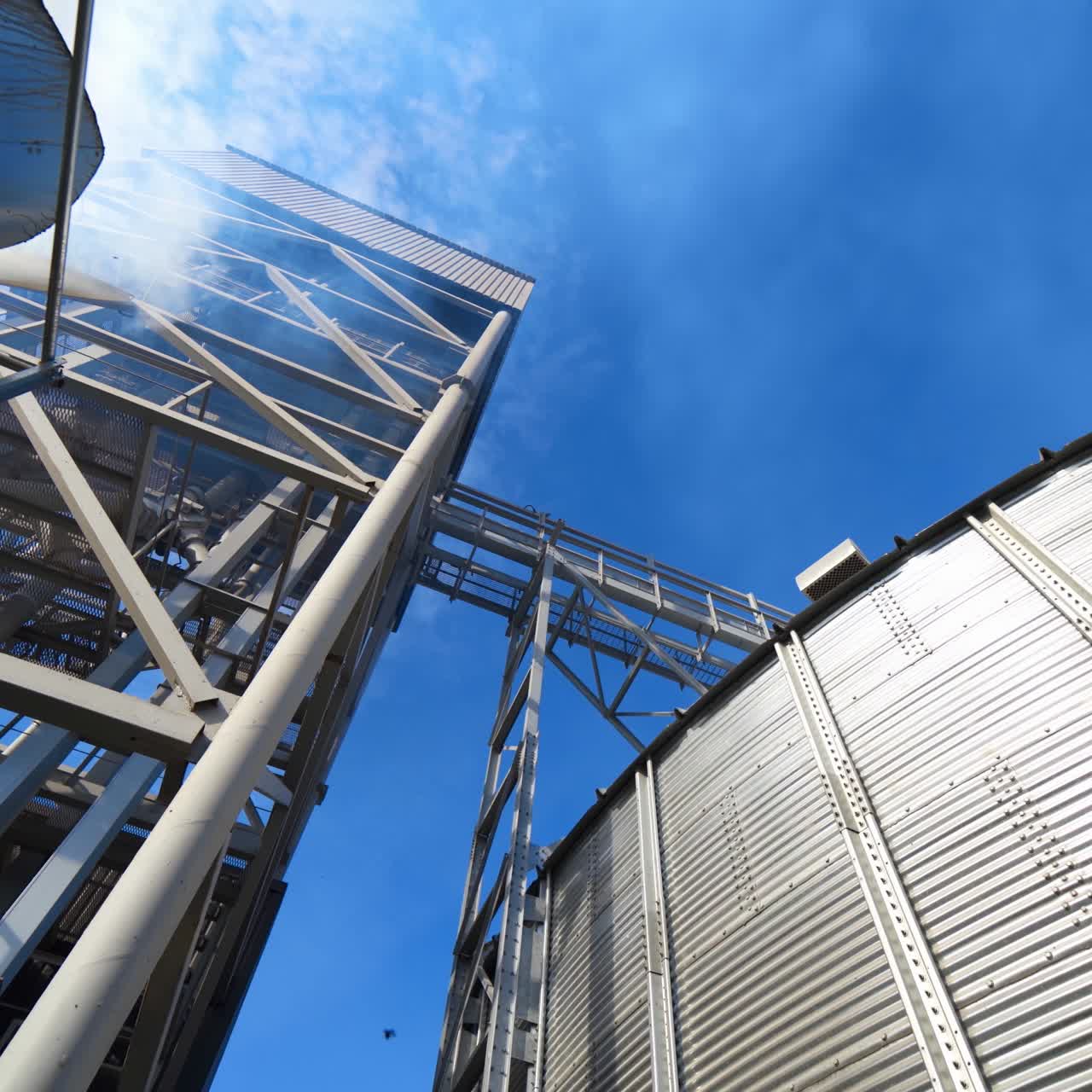 Exterior de instalação agrícola. Fumaça subindo da indústria durante a secagem e processamento de grãos. Vista de baixo
