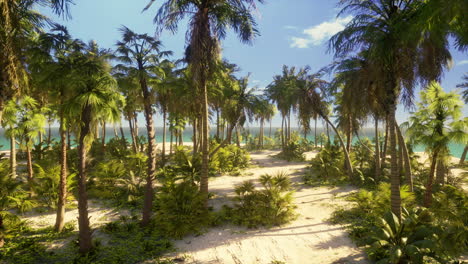 Palmenstrand-Auf-Einer-Tropischen,-Idyllischen-Paradiesinsel