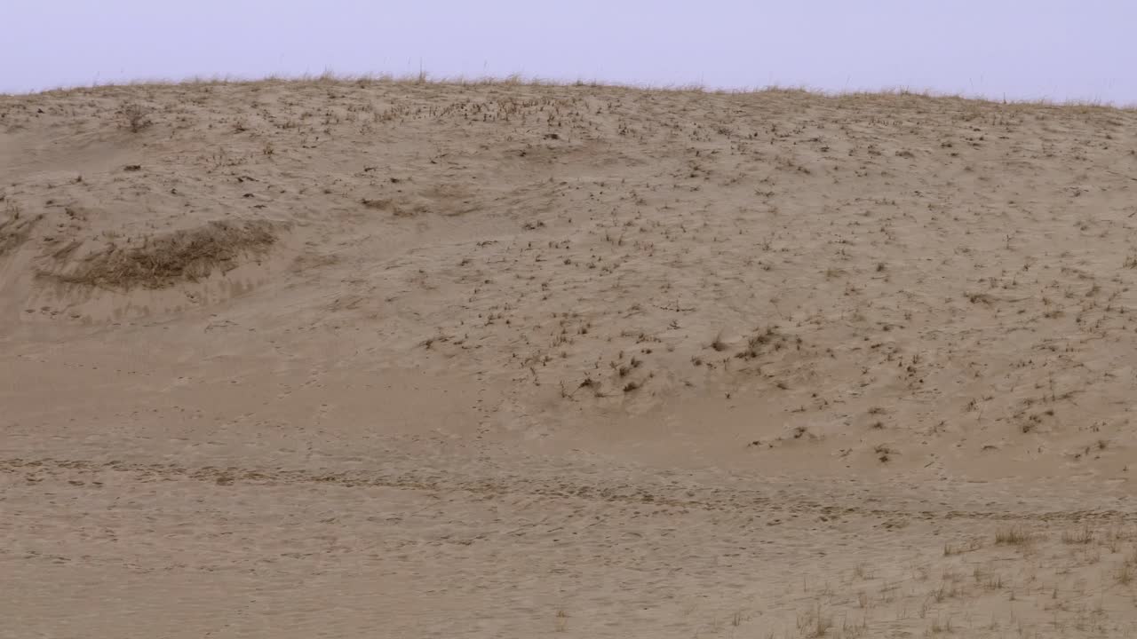 케이프의 모래 언덕