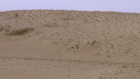 las dunas del cabo