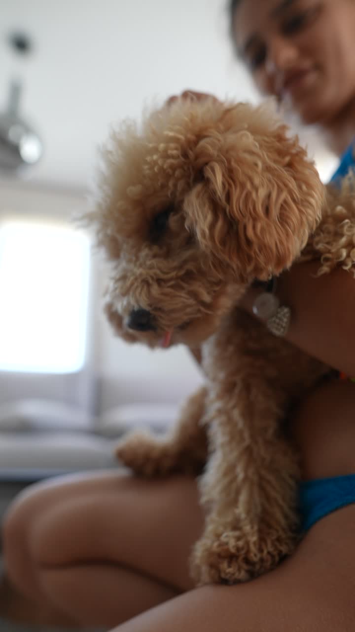 푸들 을 들고 있는 여자