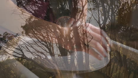 holding bowl, hands overlaying forest trees with sunlight animation in background