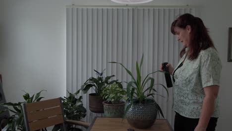middle aged caucasian woman spraying house plants