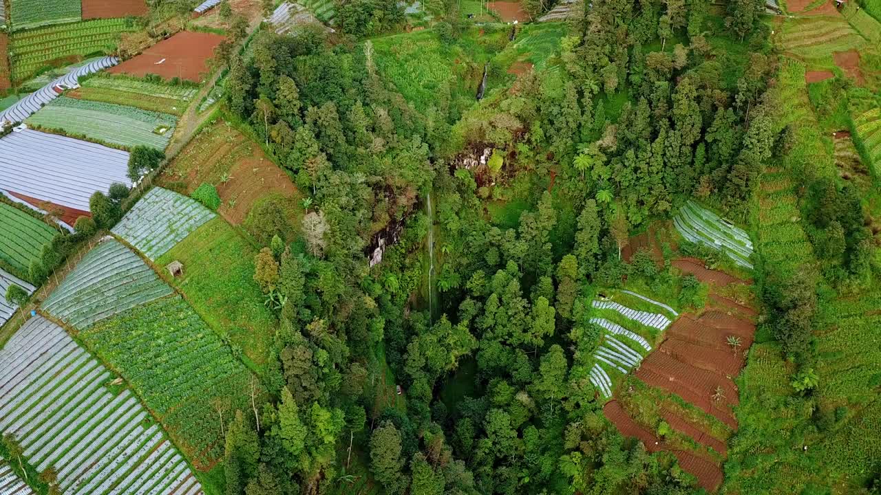 cascada idílica rodeada de densos y exuberantes campos agrícolas y bosques en indonesia - antena arriba hacia abajo