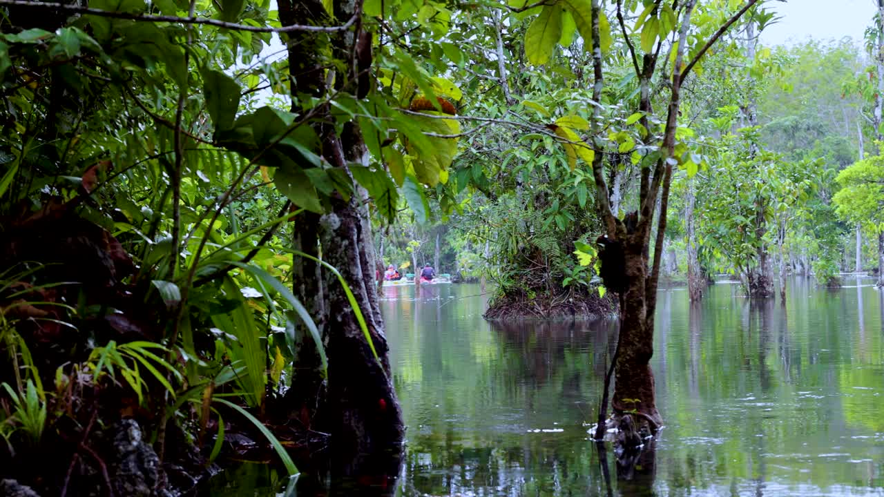 크라비 의 울창 한 맹그로브 나무 로 둘러싸인 조용 한 은 물 운하
