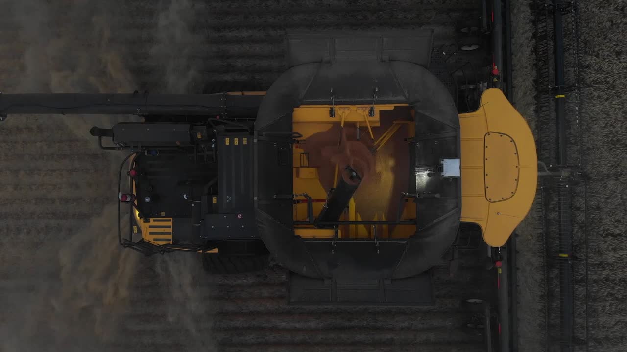 el cosechador trabaja en el campo