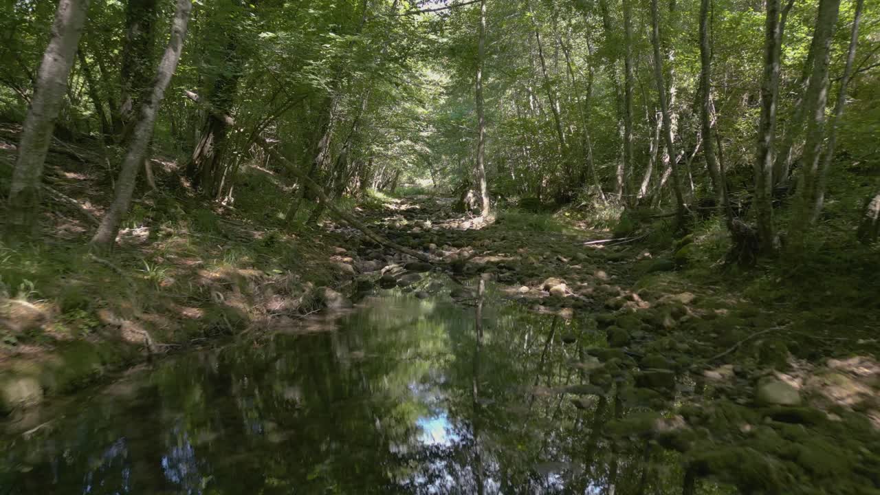 avanzando en el bosque entre los árboles sobre un lecho rocoso de un río en un día soleado de verano