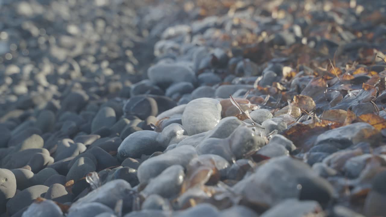 Close Up of Frozen Beach Rocks Covered in Ice Near Lake Superior Water's Edge