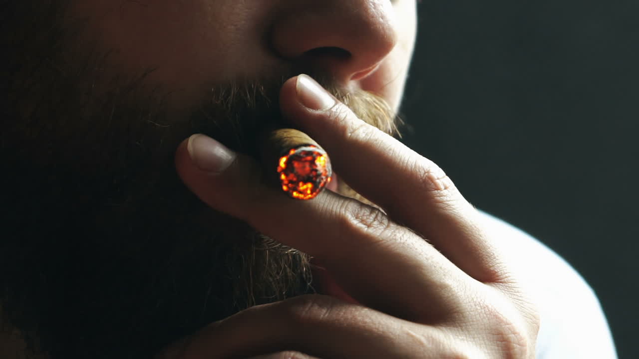 Man smoking cigar. Side view of bearded stylish man with a cigar