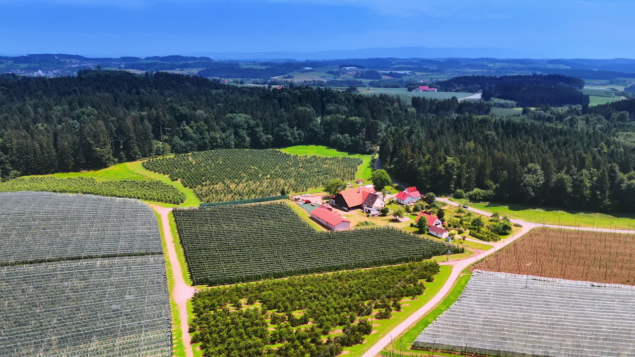 Footage above the farmlands with fields of plants in rows. Stunning scenery of beautiful countryside on summer day