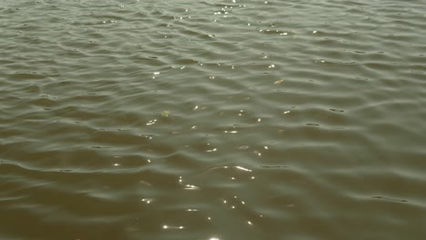 Sanfte-Wellen-Auf-Einer-Ruhigen-Wasseroberfläche-Mit-Reflektiertem-Sonnenlicht-Schaffen-Eine-Ruhige-Stimmung