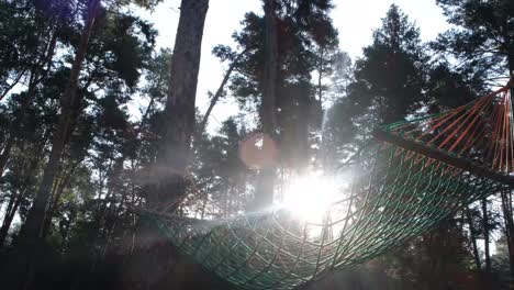 a beautiful hammock swings against the background of the suns rays the concept of recreation a beautiful hammock swings against the background of the suns rays the concept of recreation in a tent city outdoor recreation in the forest