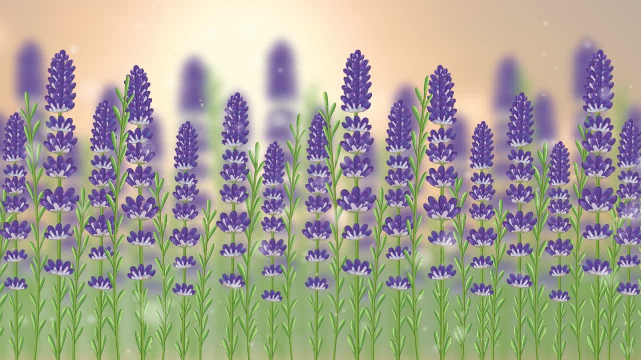Lavender flowers gently sway against a soft, warm background, creating a calming and serene atmosphere