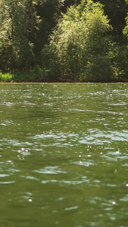 splashing water of pure lake against deep green forest on bank. clean river water waves and wild wood at reserved park area. travelling by nature