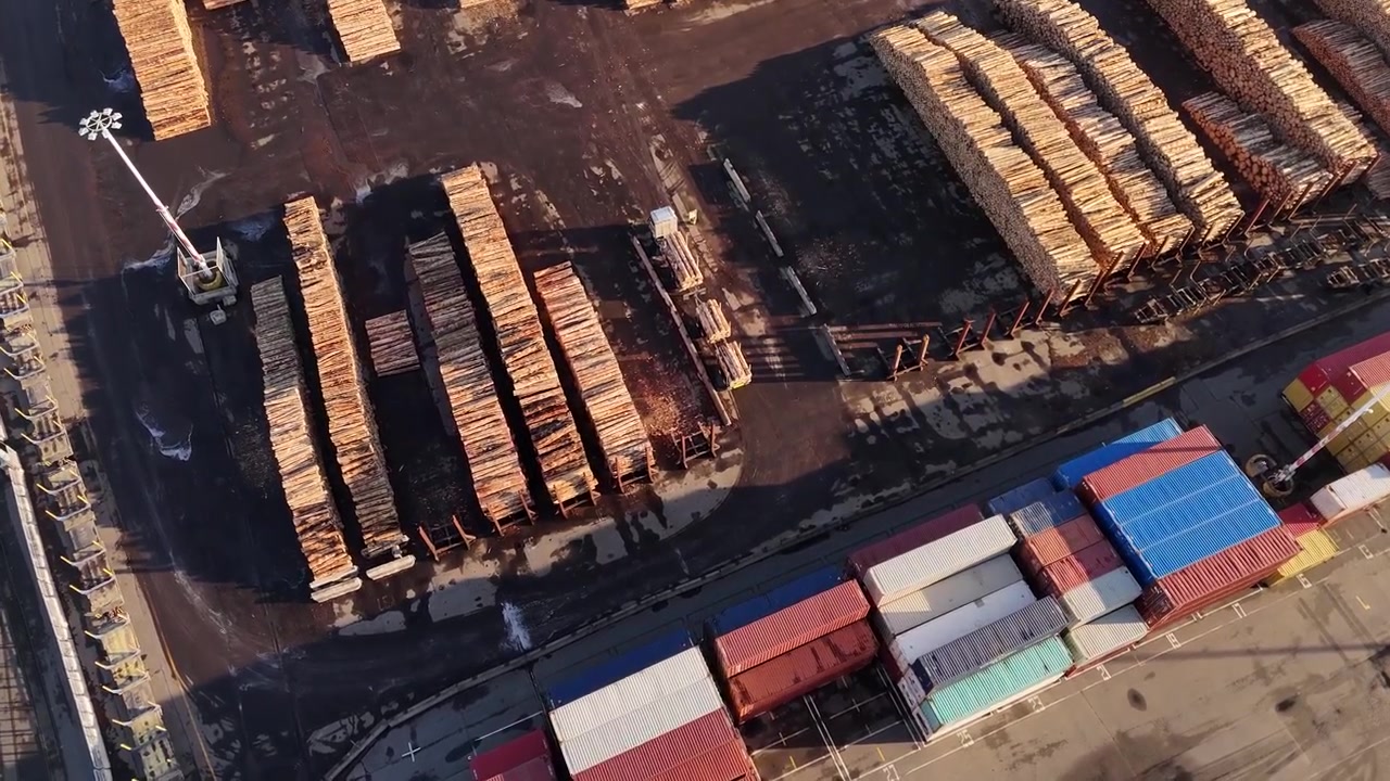 drone shot overlooking neat rows of stacked raw lumber logs alongside colorful shipping containers at a commercial export harbor terminal.
