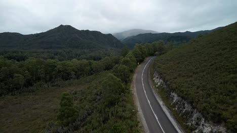 bosque de montaña a lo largo de la carretera de asfalto en el parque nacional de los ríos salvajes franklin-gordon en tasmania, australia