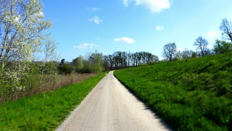 dirt road to the forest on a sunny summer day