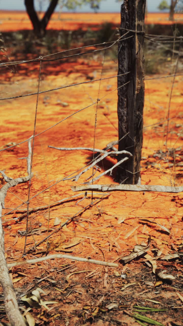 pampas con cerca de alambre de púas y arbustos secos