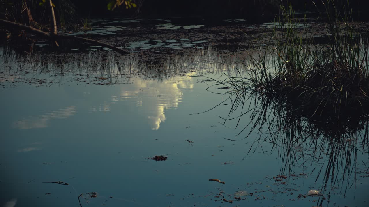 Reflection of a cloud in the water of a marsh in Thailand