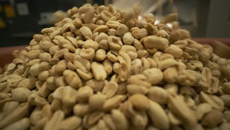 tostado de maní. operaciones de clasificación en la fábrica de nueces. línea de producción de envases de maní tostado
