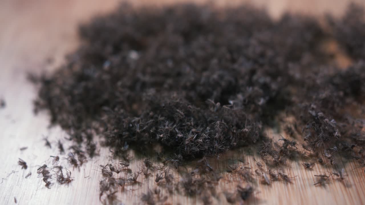 왼쪽에서 오른쪽으로 회전하는 수천 마리의 죽은 모기를 근접 촬영