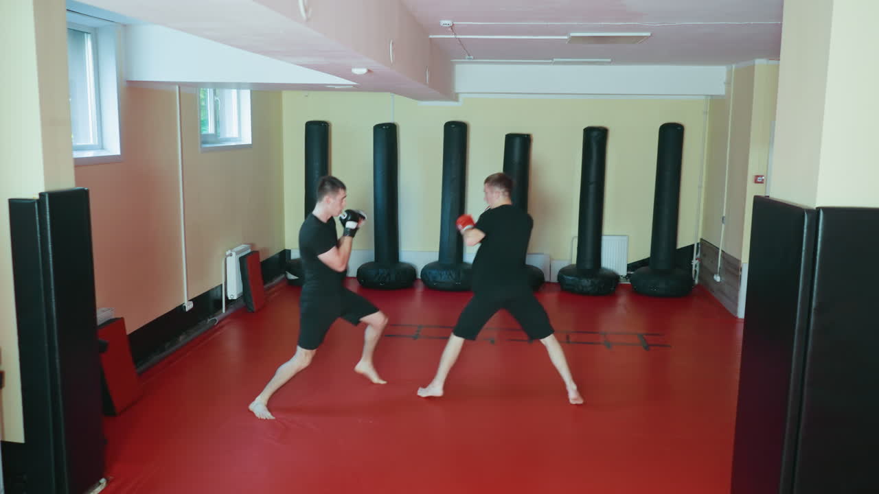 빨간색 매트 위에 있는 무술 체육관에서 글러브와 검은색 운동복을 입고 훈련 전투 세션을 준비하면서 여러 펀칭 백으로 둘러싸인 채 싸움 자세를 유지하며 운동선수들이 스파링하고 있어요.